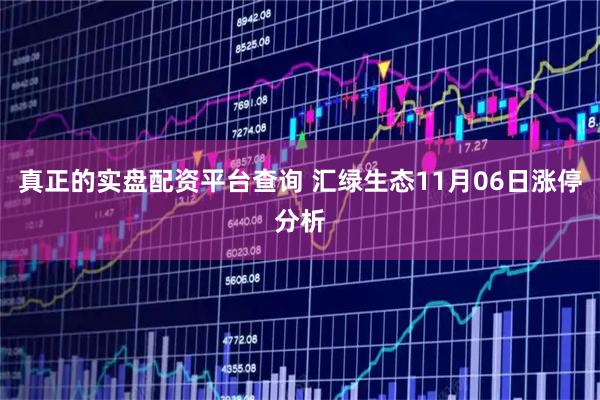 真正的实盘配资平台查询 汇绿生态11月06日涨停分析