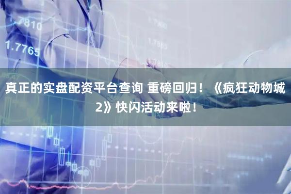 真正的实盘配资平台查询 重磅回归！《疯狂动物城2》快闪活动来啦！