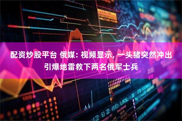 配资炒股平台 俄媒: 视频显示, 一头猪突然冲出引爆地雷救下两名俄军士兵