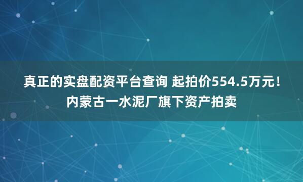 真正的实盘配资平台查询 起拍价554.5万元！内蒙古一水泥厂旗下资产拍卖