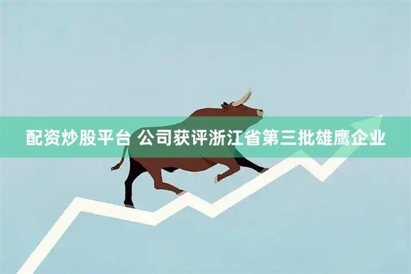 配资炒股平台 公司获评浙江省第三批雄鹰企业