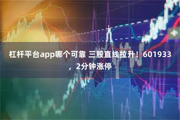 杠杆平台app哪个可靠 三股直线拉升！601933，2分钟涨停