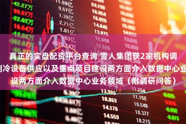 真正的实盘配资平台查询 雪人集团获2家机构调研：公司已在压缩机制冷设备供应以及重点项目建设两方面介入数据中心业务领域（附调研问答）