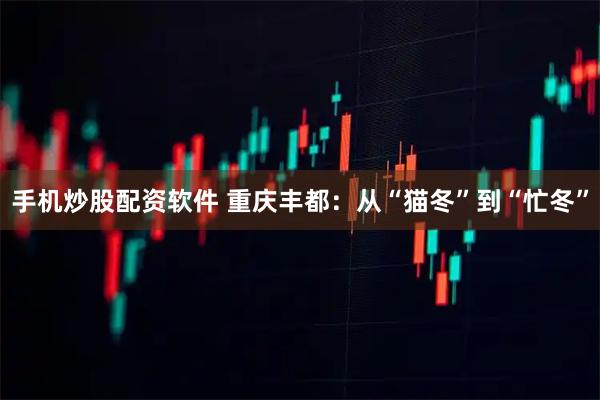 手机炒股配资软件 重庆丰都：从“猫冬”到“忙冬”