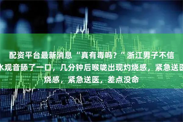 配资平台最新消息 “真有毒吗？”浙江男子不信邪，切下滴水观音舔了一口，几分钟后喉咙出现灼烧感，紧急送医，差点没命