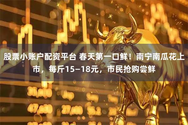 股票小账户配资平台 春天第一口鲜！南宁南瓜花上市，每斤15—18元，市民抢购尝鲜