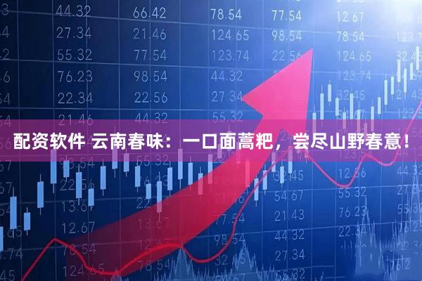 配资软件 云南春味：一口面蒿粑，尝尽山野春意！