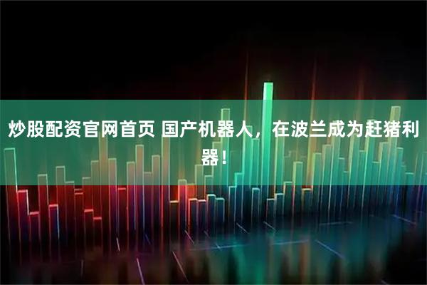 炒股配资官网首页 国产机器人，在波兰成为赶猪利器！