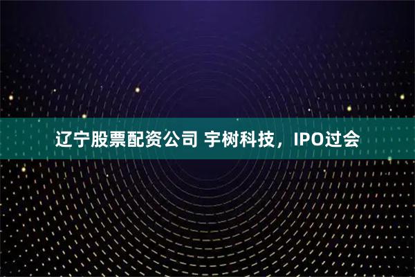 辽宁股票配资公司 宇树科技，IPO过会